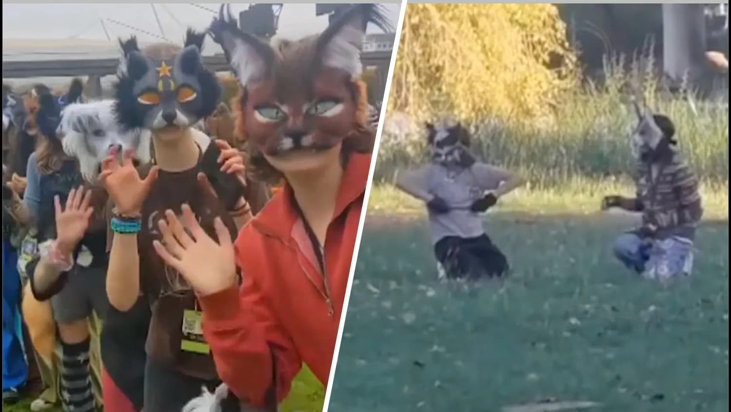 Manada segura de therians gato en Latam y España