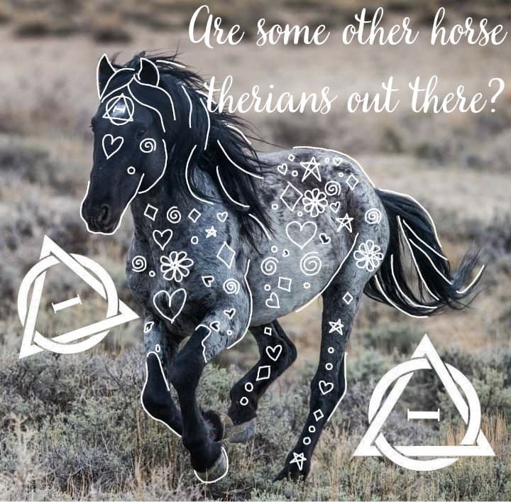 Diferencias therian caballo vs furry