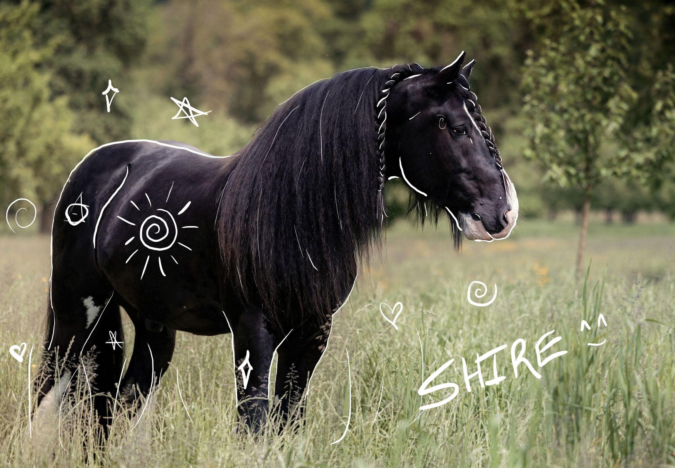 therian caballo en el bosque