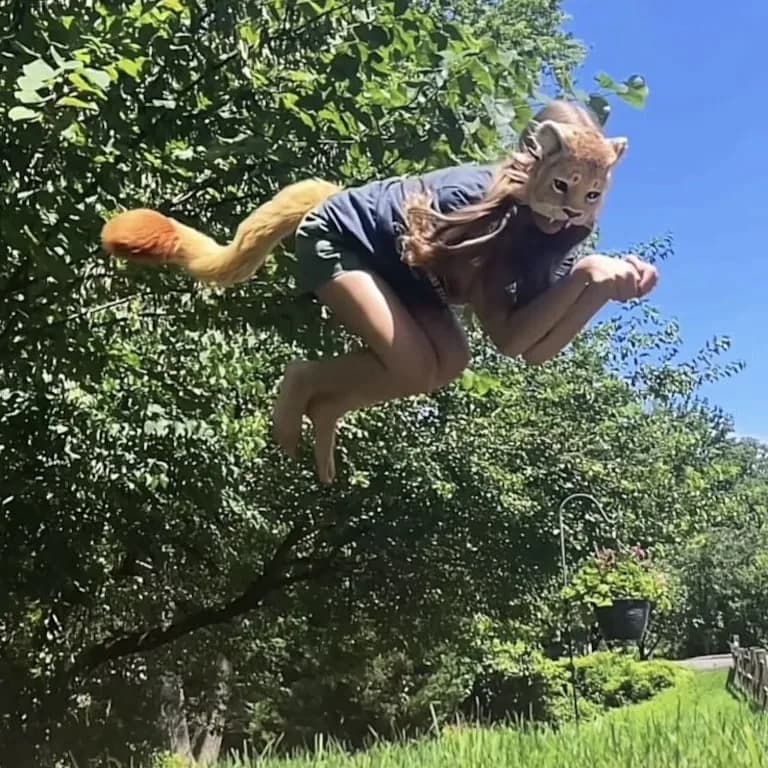 imagen de therian y lycantrhopy