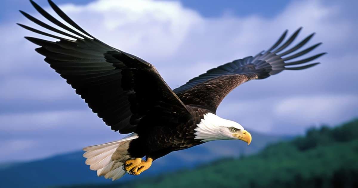 imagen aguila therian