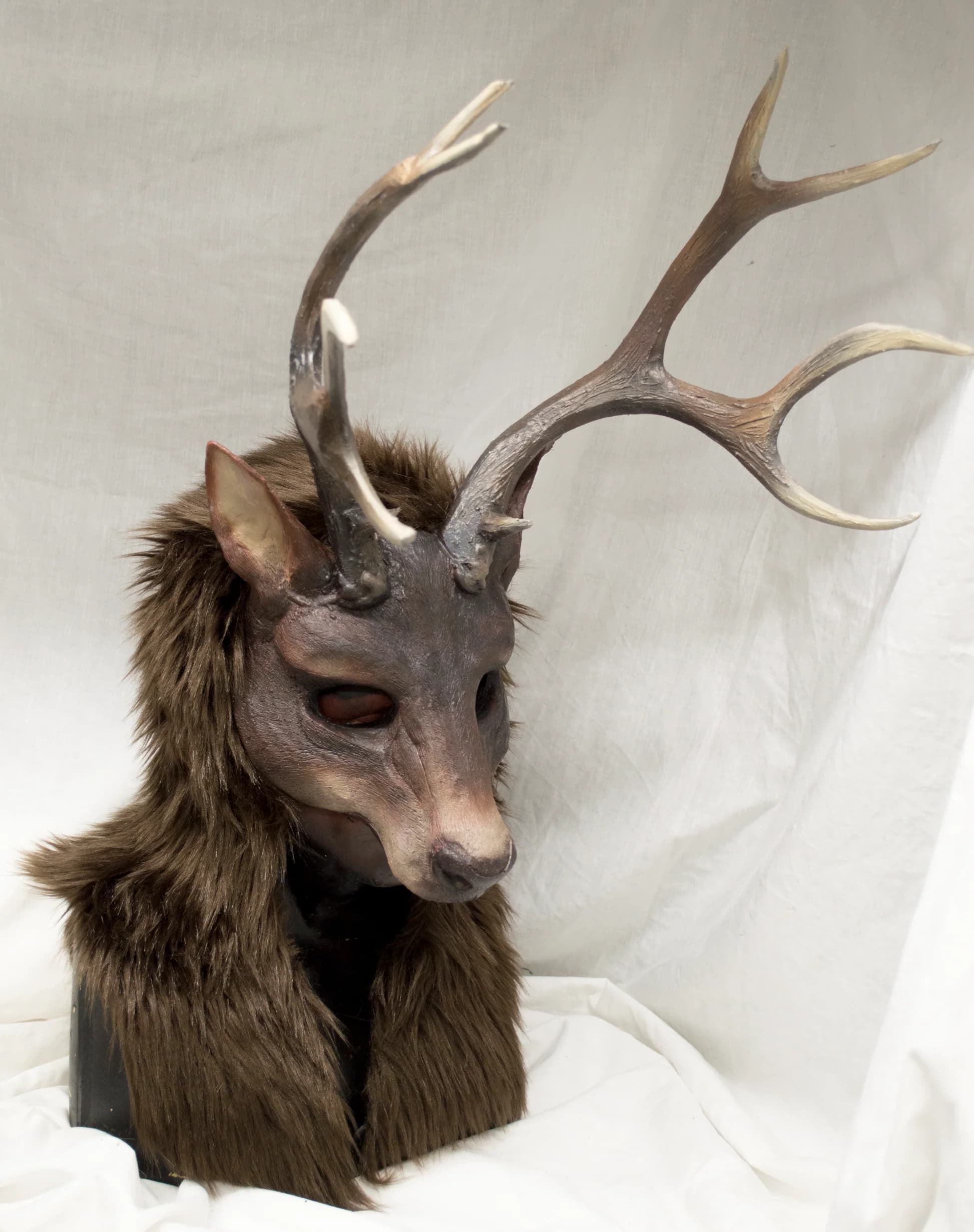 Guía práctica para therians ciervo